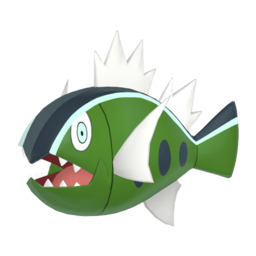 Basculin