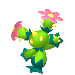 Maractus
