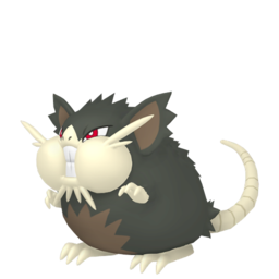 Raticate