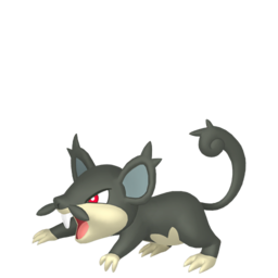 Rattata