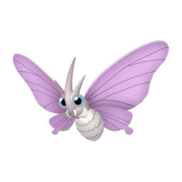 Venomoth
