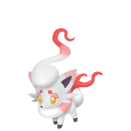 Zorua